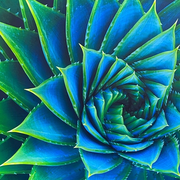 ❤️💕Meet your Posher, Susan, updated 6-21-22 - Picture 15 of 16